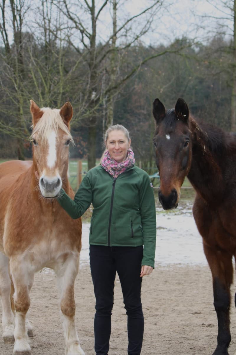 Selbstständiger Reitlehrer