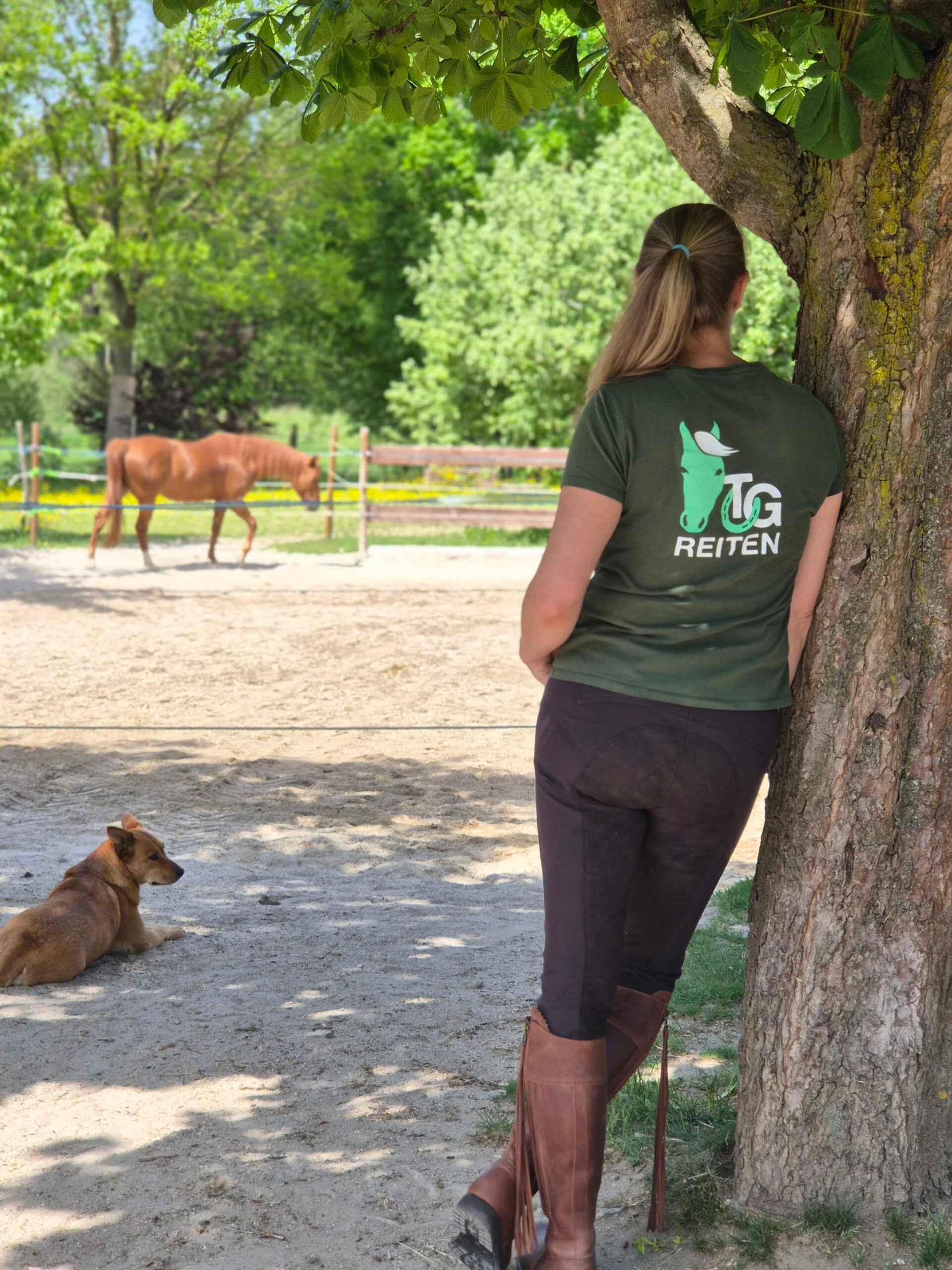 Onlinekurse Reiten