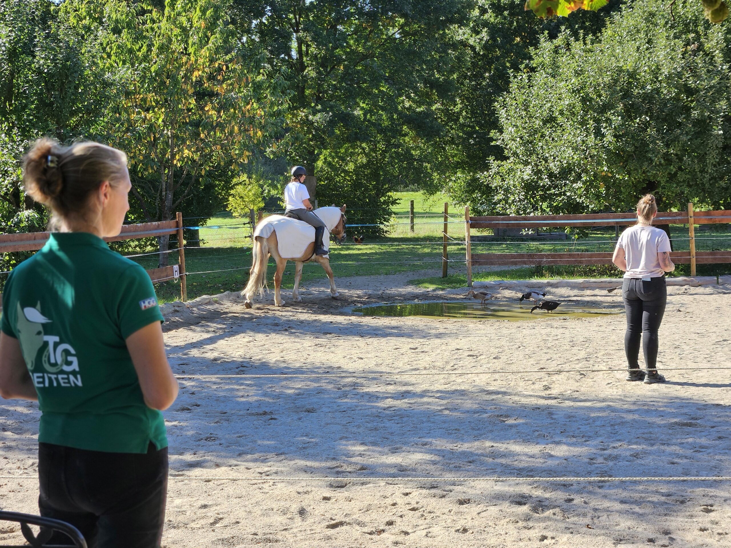 Eine Reiterin mit Helm auf einem Schecken wird von zwei Frauen am Boden auf dem Reitplatz begleitet.
